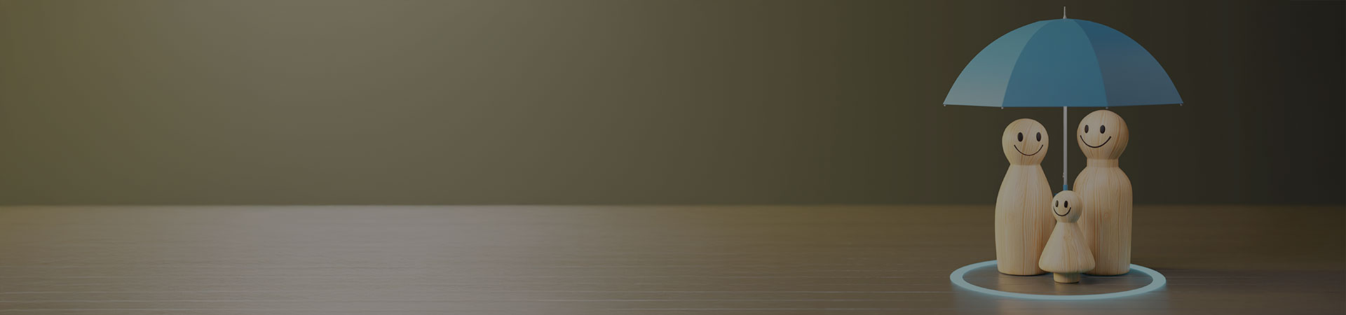 term life insurance banner